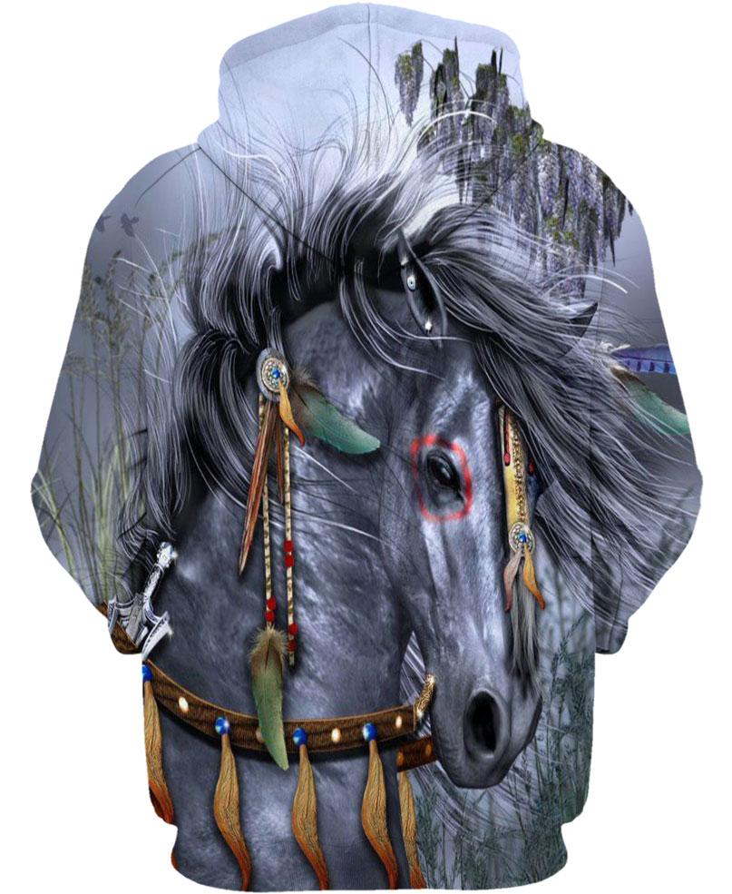 Native American Sadness Of Horse