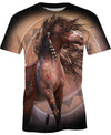Native American The Adventure Of Horse