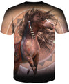 Native American The Adventure Of Horse