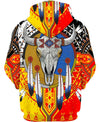 Native American Buffalo Colourful