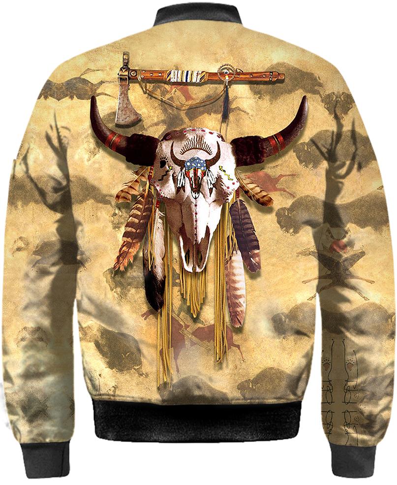 Native American Buffalo Skull